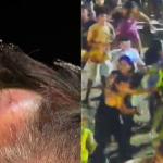 Briga entre indígenas no Carnaval de Brumadinho tem feridos e presos; PM mostra galo
