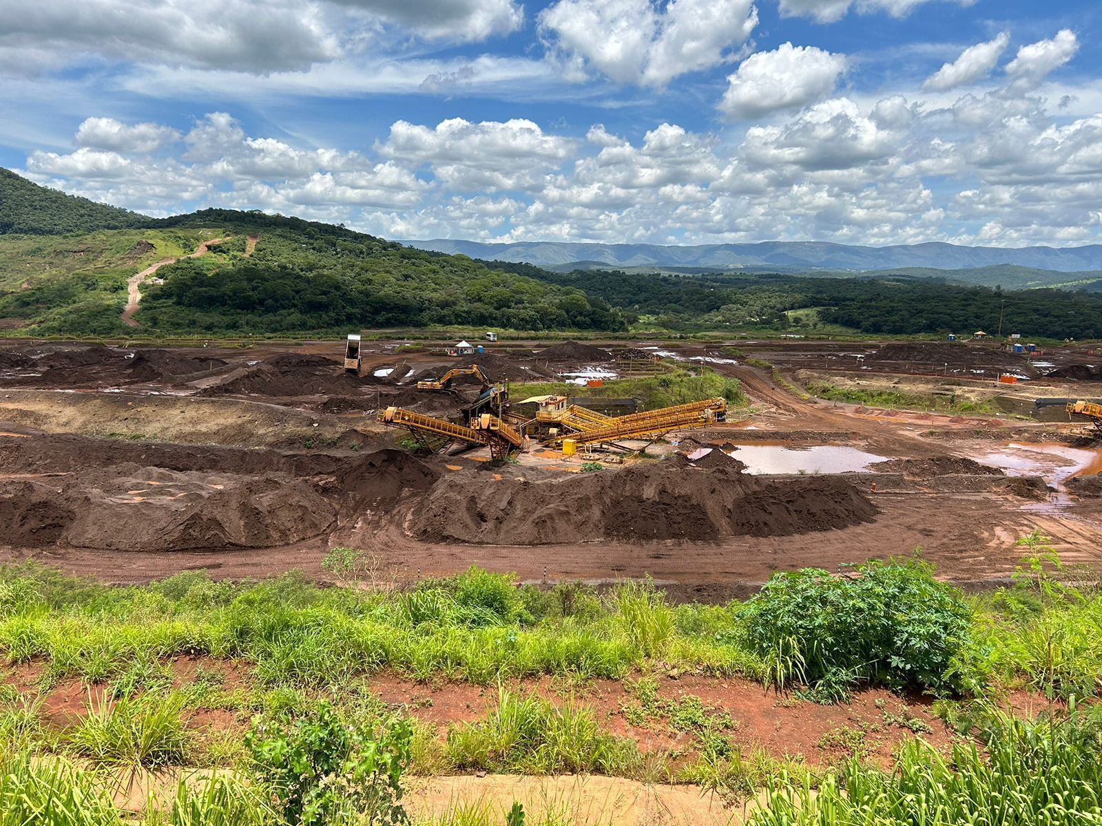 Vale recuperou apenas 2,5% de área verde destruída em Brumadinho seis anos após tragédia