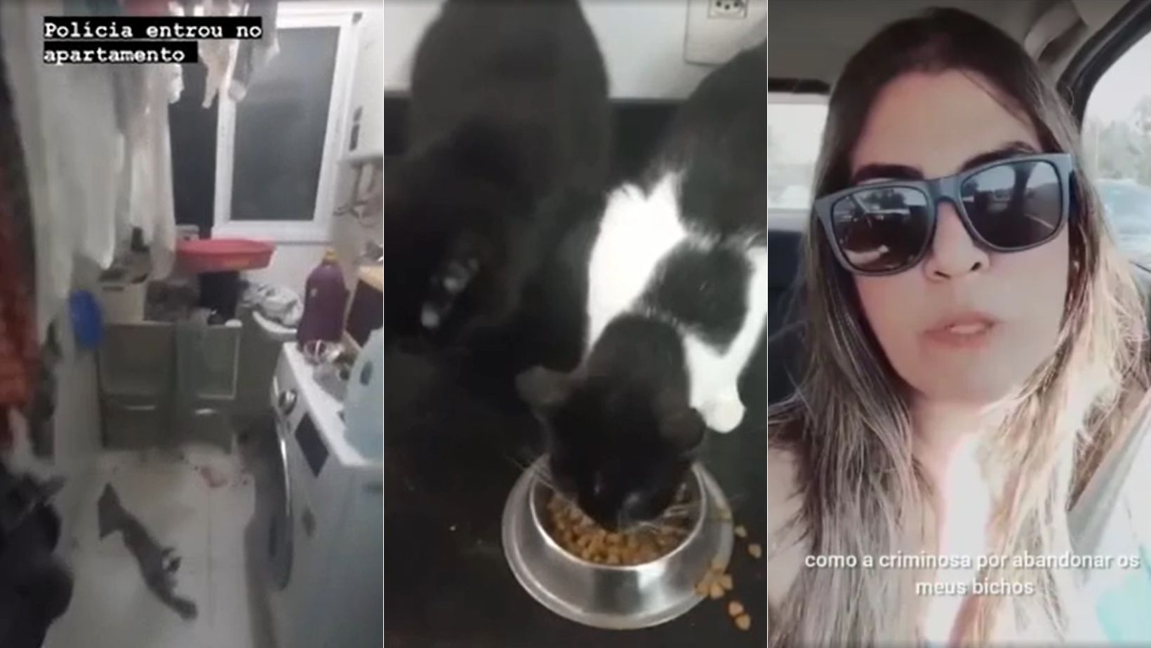 Bruna Surfistinha é indiciada por maus-tratos a animais após ser denunciada por síndica