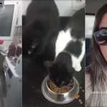 Bruna Surfistinha é indiciada por maus-tratos a animais após ser denunciada por síndica
