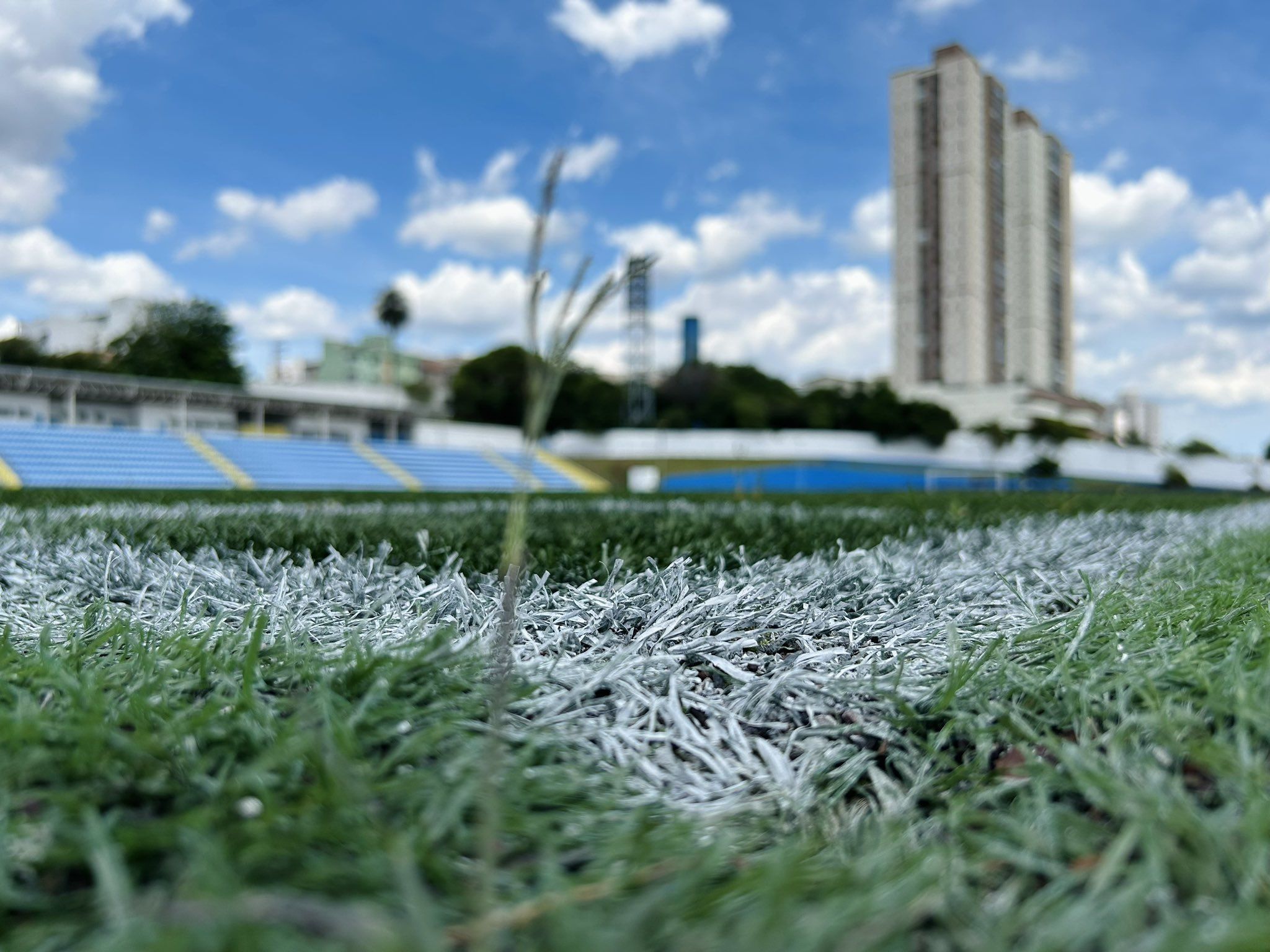 Santo André x Palmeiras: veja escalações das equipes para jogo no Paulistão