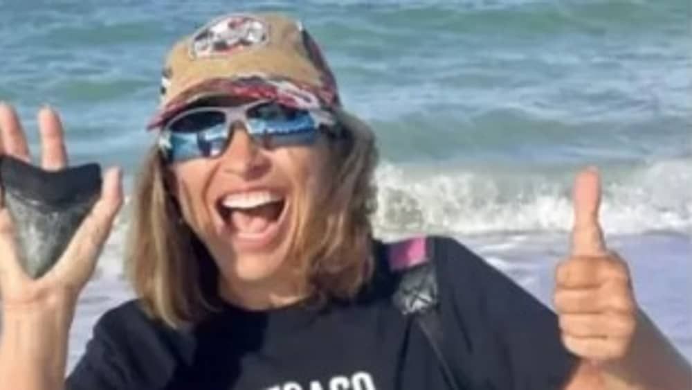 Mulher acha dente de tubarão pré-histórico em praia dos Estados Unidos