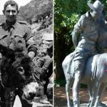 Burro mais corajoso do mundo ganha medalha por salvar soldados na Primeira Guerra Mundial  