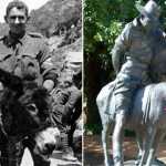 Burro mais corajoso do mundo ganha medalha por salvar soldados na Primeira Guerra Mundial
