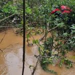 Bombeiros encontram corpo de criança de 4 anos desaparecida em riacho no interior de Minas
