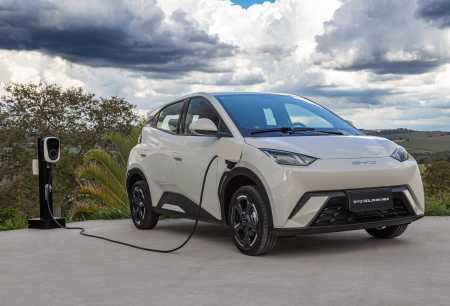 BYD Dolphin Mini