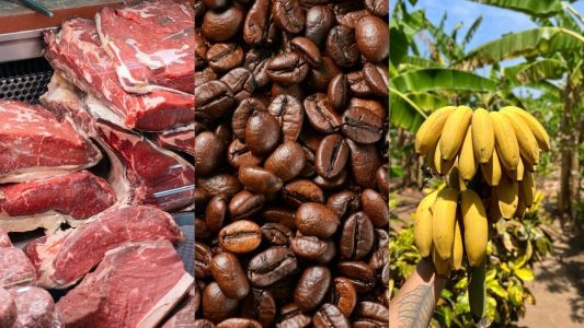 Café, carne bovina e frutas: veja produtos com tarifas reduzidas pelos EUA