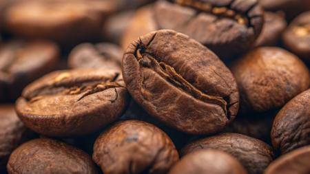 Atraso de navios eleva prejuízos de exportadores com nova safra de café
