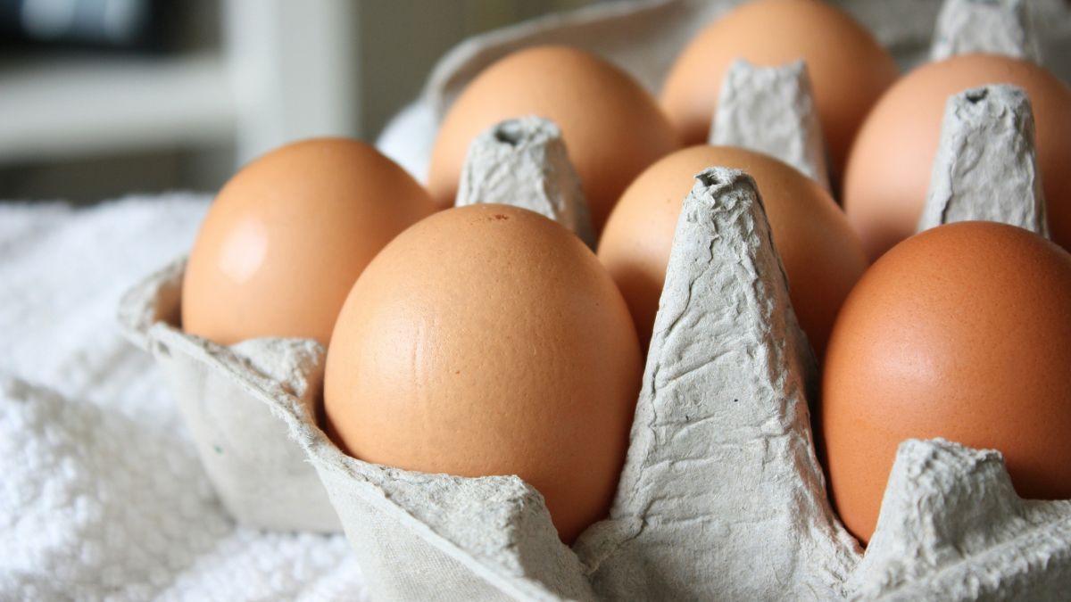 Produção de ovos perde ritmo, mas preços continuam pressionados no mercado