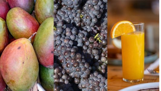 Manga, uva e suco de laranja resistem mas lucros diminuem