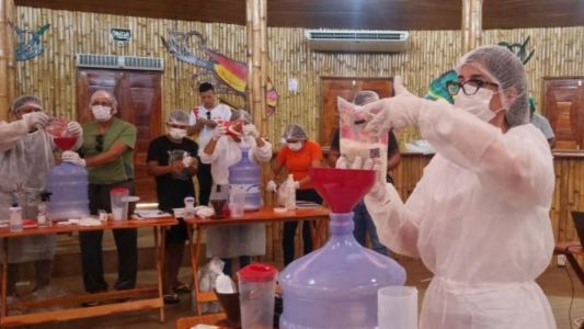 Açaí tinto valoriza comunidades ribeirinhas e ganha espaço como bebida fermentada