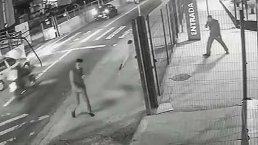 Caramelo, cão comunitário é morto com 10 tiros em SP; câmera flagrou crime