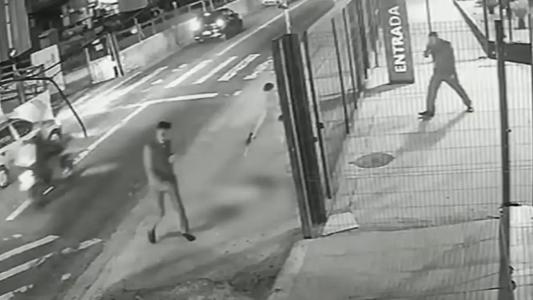 Caramelo, cão comunitário é morto com 10 tiros em SP; câmera flagrou crime
