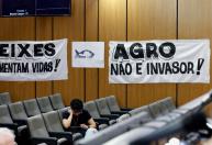 Inclusão de tilápia na lista de invasoras é discutida em audiência pública na ALMG