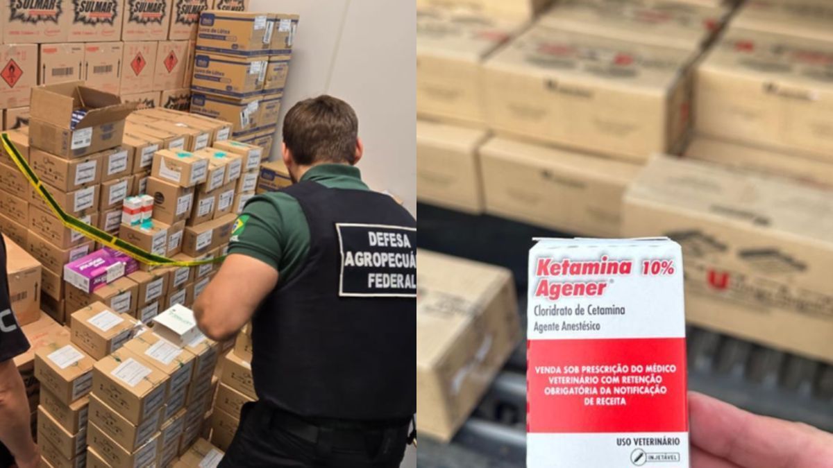 Megaoperação desarticula rede que desviava cetamina veterinária para uso como droga