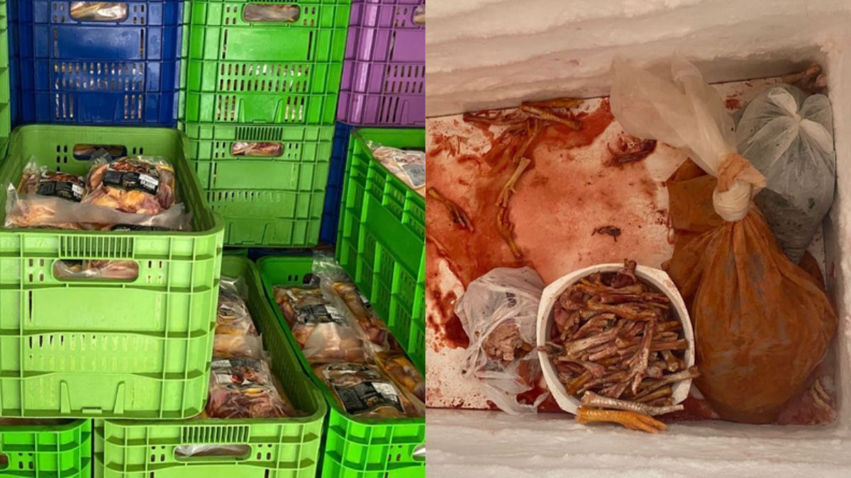 Operação 'Tô Fraco' apreende mais de 3 toneladas de carne clandestina no Ceará