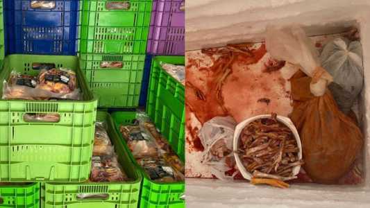 Operação 'Tô Fraco' apreende mais de 3 toneladas de carne clandestina no Ceará