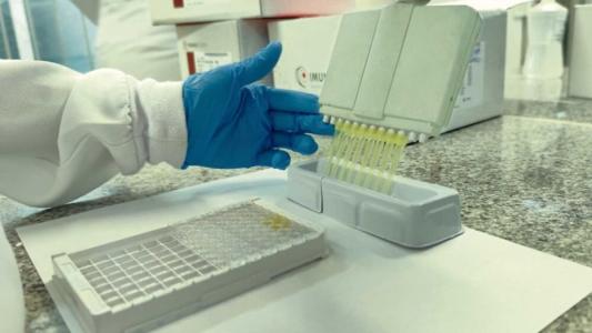 Sergipe intensifica monitoramento da gripe K, subtipo da influenza A