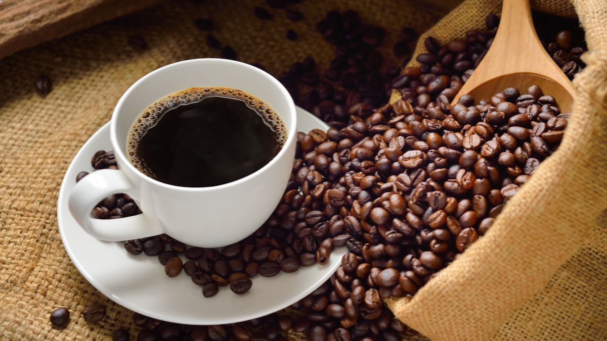 Café do Brasil: exportações caem 18%, mas faturamento sobe 11% em setembro