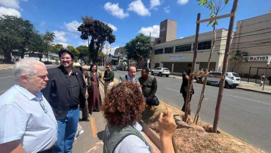 Secretaria de Meio Ambiente realiza plantios e expande arborização urbana em BH