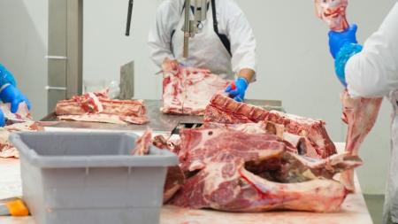 Exportação de carne bovina tem segundo melhor volume para 2ª semana de novembro