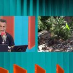 Novo Plantão da Cidade estreia com ajuda a morador de BH e segurança no Carnaval