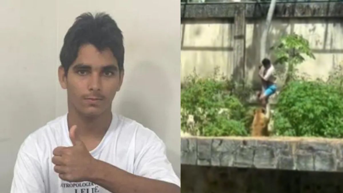 'Vaqueirinho': Justiça arquiva inquérito sobre morte de jovem atacado por leoa na Paraíba