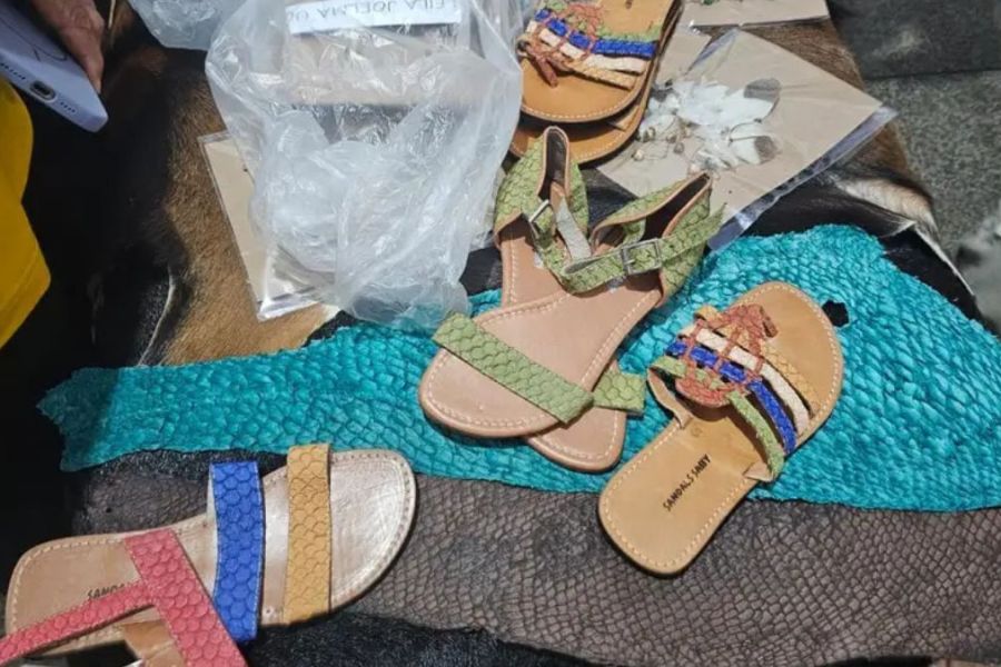 Projeto Peix’Arte no Amapá transforma resíduos do pescado em biojoias e gera renda