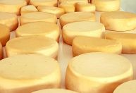 Minas celebra Dia Mundial do Queijo com números recordes na agroindústria familiar