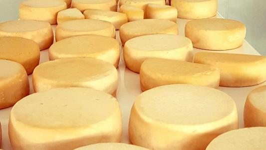 Queijo Minas Artesanal