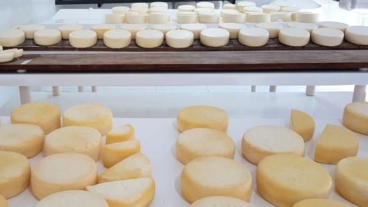 Queijo Minas Artesanal
