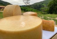 Dia Mundial do Queijo? Entenda a origem da data e por que Minas Gerais tem outro dia