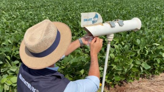 Monitoramento ajuda a reduzir risco da ferrugem asiática na soja no Rio Grande do Sul