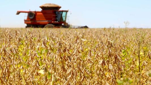 Chuvas de verão favorecem lavouras e colheitas avançam no Paraná