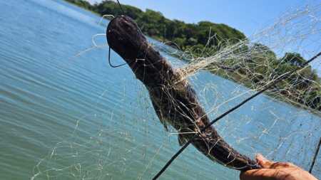 PM apreende 200 metros de rede e resgata peixes nativos no Rio Paraná