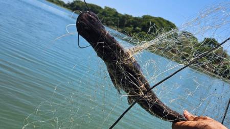 PM apreende 200 metros de rede e resgata peixes nativos no Rio Paraná