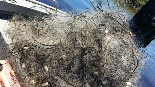 Flagrante na Piracema: PM Ambiental apreende 4 km de rede de pesca ilegal em SP