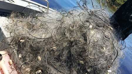 Flagrante na Piracema: PM Ambiental apreende 4 km de rede de pesca ilegal em SP