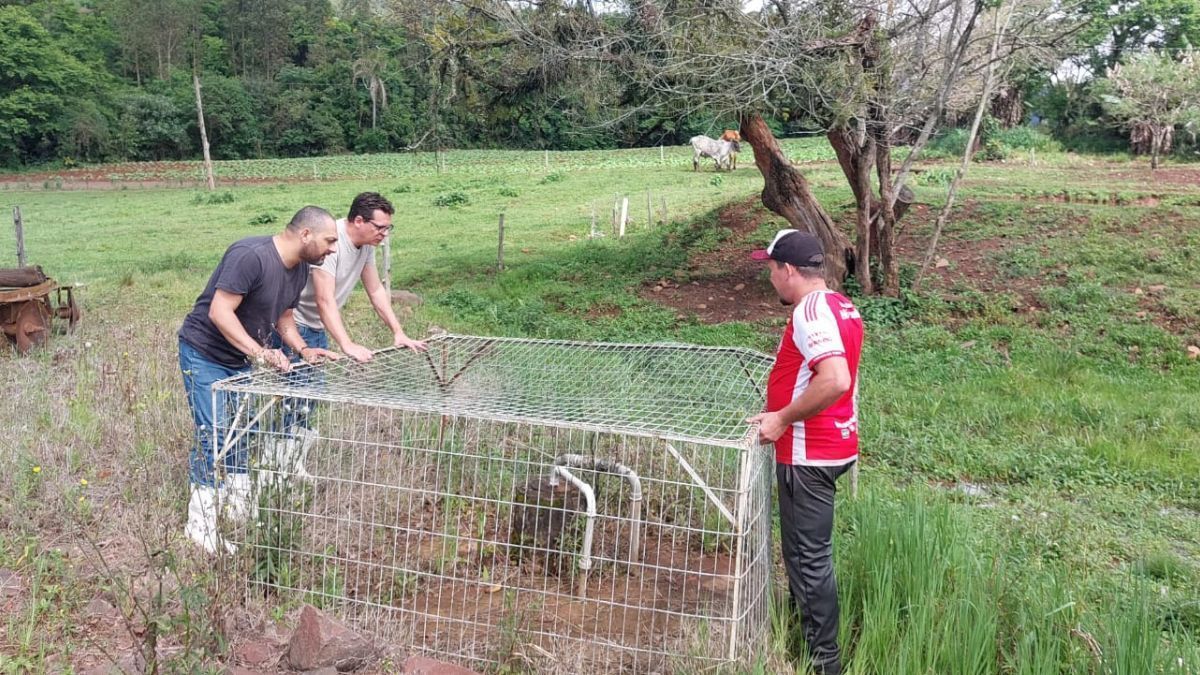 Análises em poços do RS revelam riscos sanitários na água após enchentes