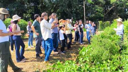 PANC ganham espaço como alternativa sustentável para a agricultura familiar
