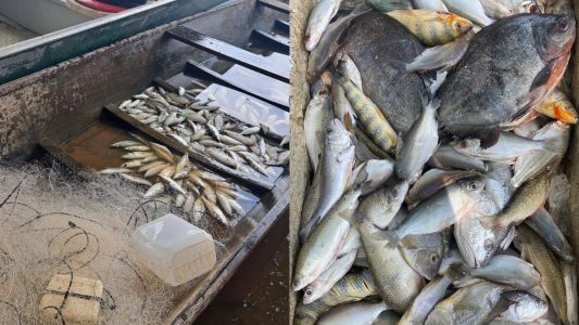 Piracema: operação apreende quase 200 kg de pescado e 500 metros de redes no Pará