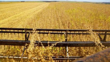 Paraná registra avanço na safra de verão, mas calor e chuvas irregulares preocupam