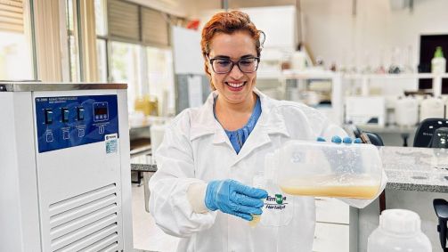 Bioinsumos da Embrapa ampliam produtividade da alface e controle de doenças no alho