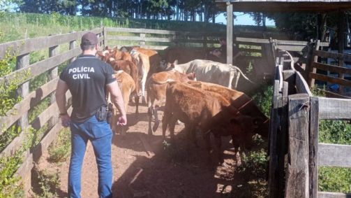 Ao todo, foram cumpridos oito mandados de busca e apreensão