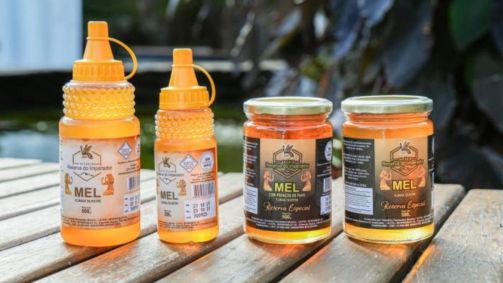 Apicultura transforma produção rural e amplia renda de agricultor na Serra da Canastra