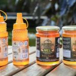 Apicultura transforma produção rural e amplia renda de agricultor na Serra da Canastra