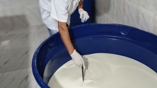 O segredo do Queijo do Serro: 3º Concurso de Qualidade do Leite abre inscrições