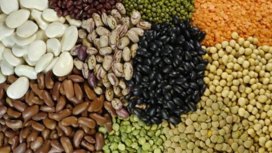 Exportações de pulses crescem 30% e somam US$ 448 milhões em 2025