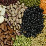 Exportações de pulses crescem 30% e somam US$ 448 milhões em 2025