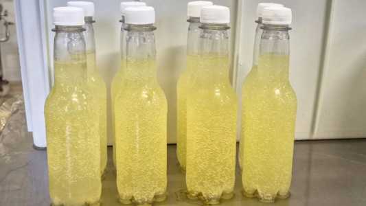'Refrigerante do bem': bebida mineira de soro de leite promete revolucionar o mercado